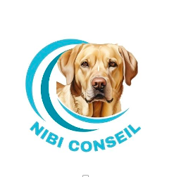 NIBI CONSEIL